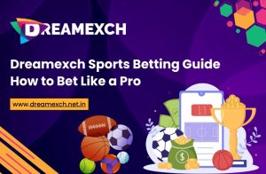 Read more about the article Dreamexch Sports Betting Guide: How to Bet Like a Pro